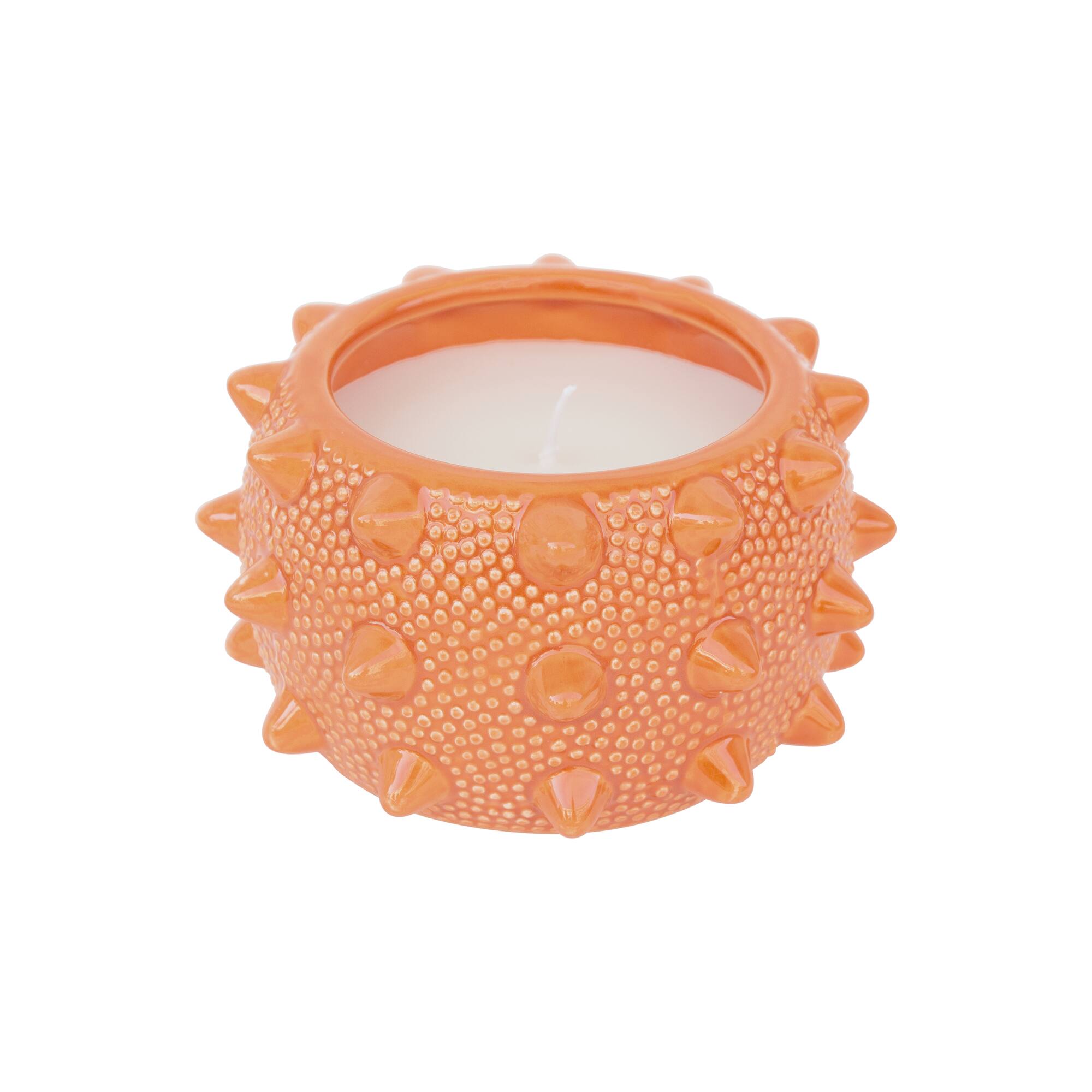 9oz. Citronella, Basil & Clove Scented Candle by Ashland®